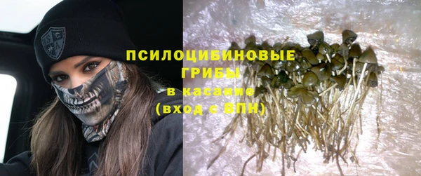 СК Медвежьегорск