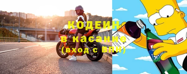 СК Медвежьегорск