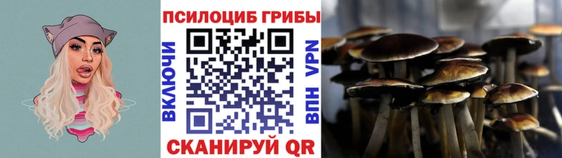 хочу наркоту  Оса  Псилоцибиновые грибы мицелий 